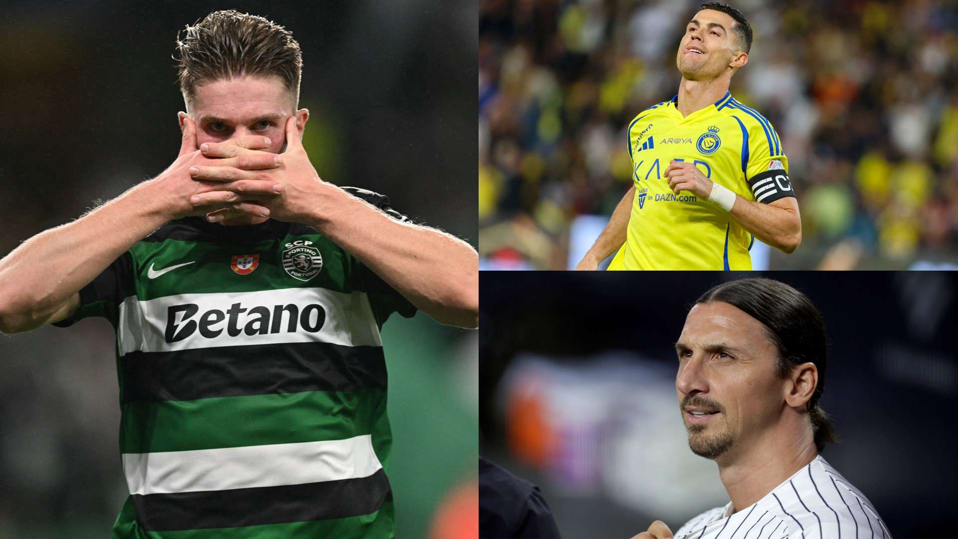 莫比莱的发 莫比莱的发